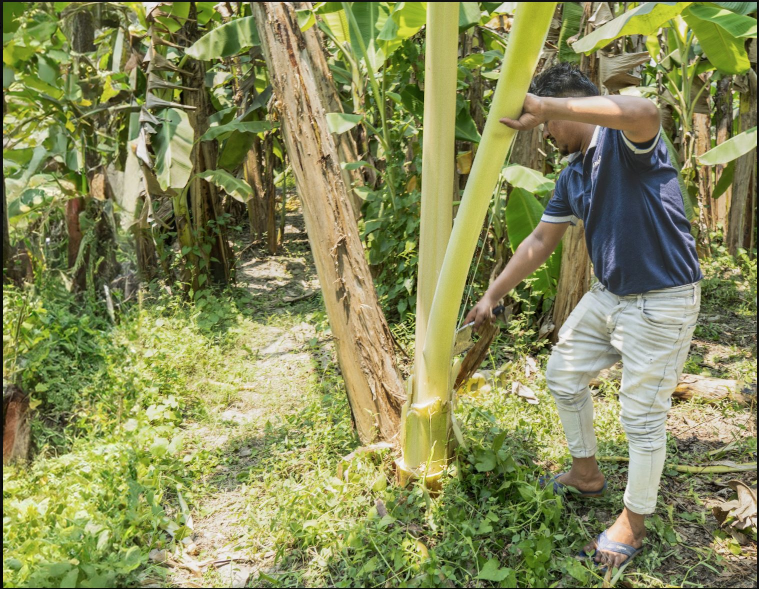 Field visit in a green outdoor setting, from Reeth Dhall’s supplied portfolio document